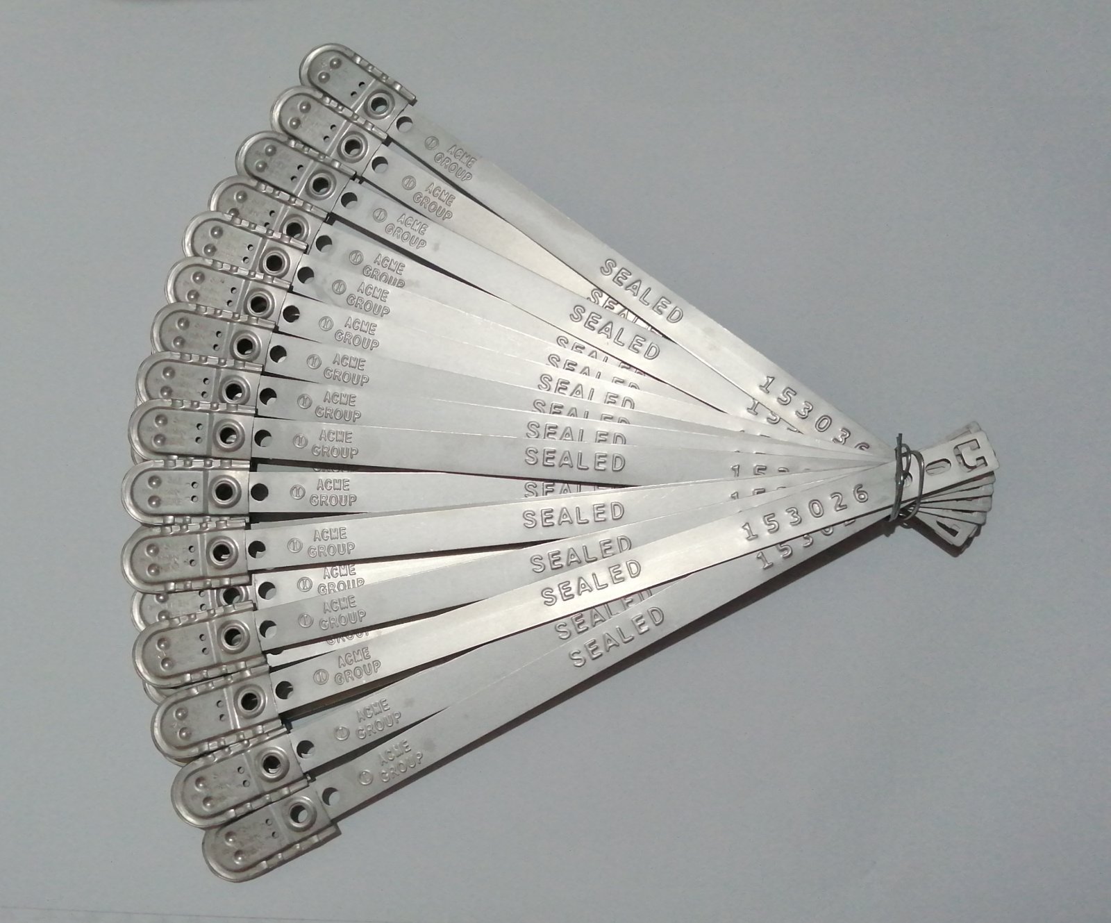Metal T Seal