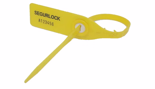 SegurLock